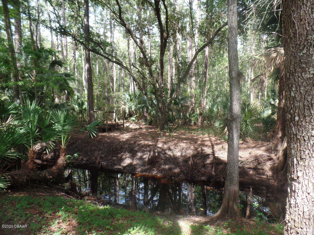 2369 Old Train Road Deltona, FL 32738 - Photo 4 of 23 SAM_1226