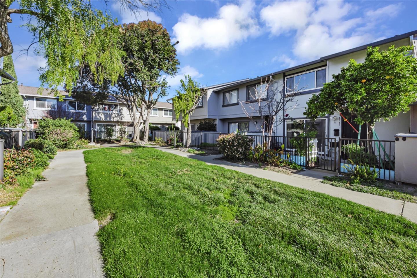 a view of a yard in front of house