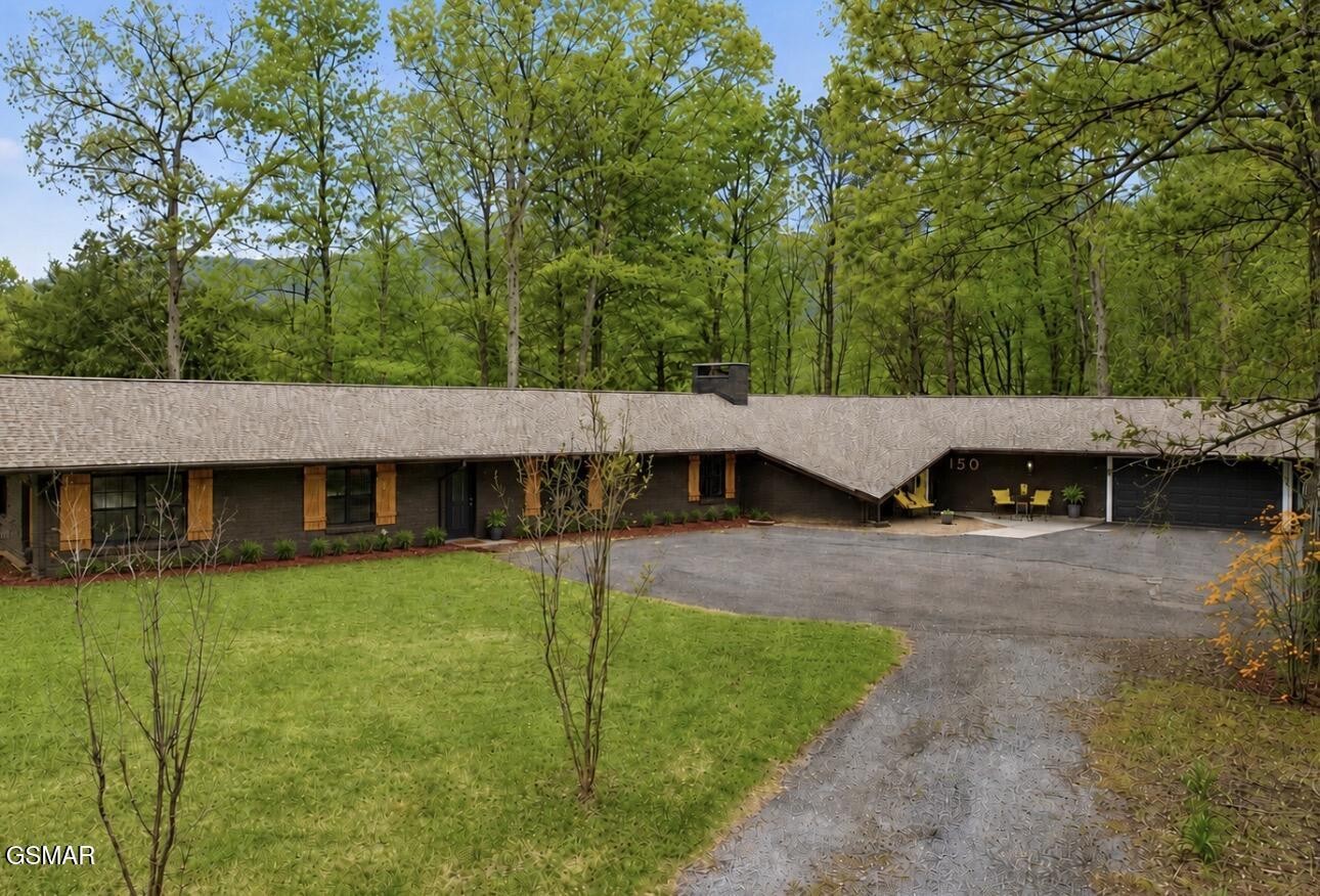 150 Hollow Road Cosby, TN 37722 - Photo 4 of 39 Gallery Image 4