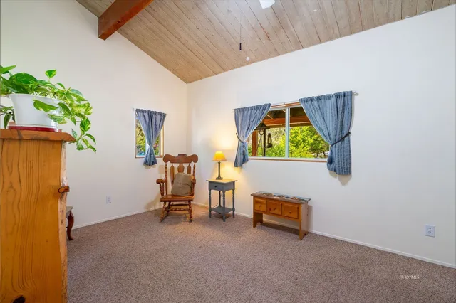 a view of a yard with plants and trees
