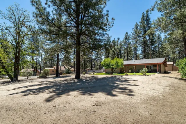 a front view of a house with a yard and trees