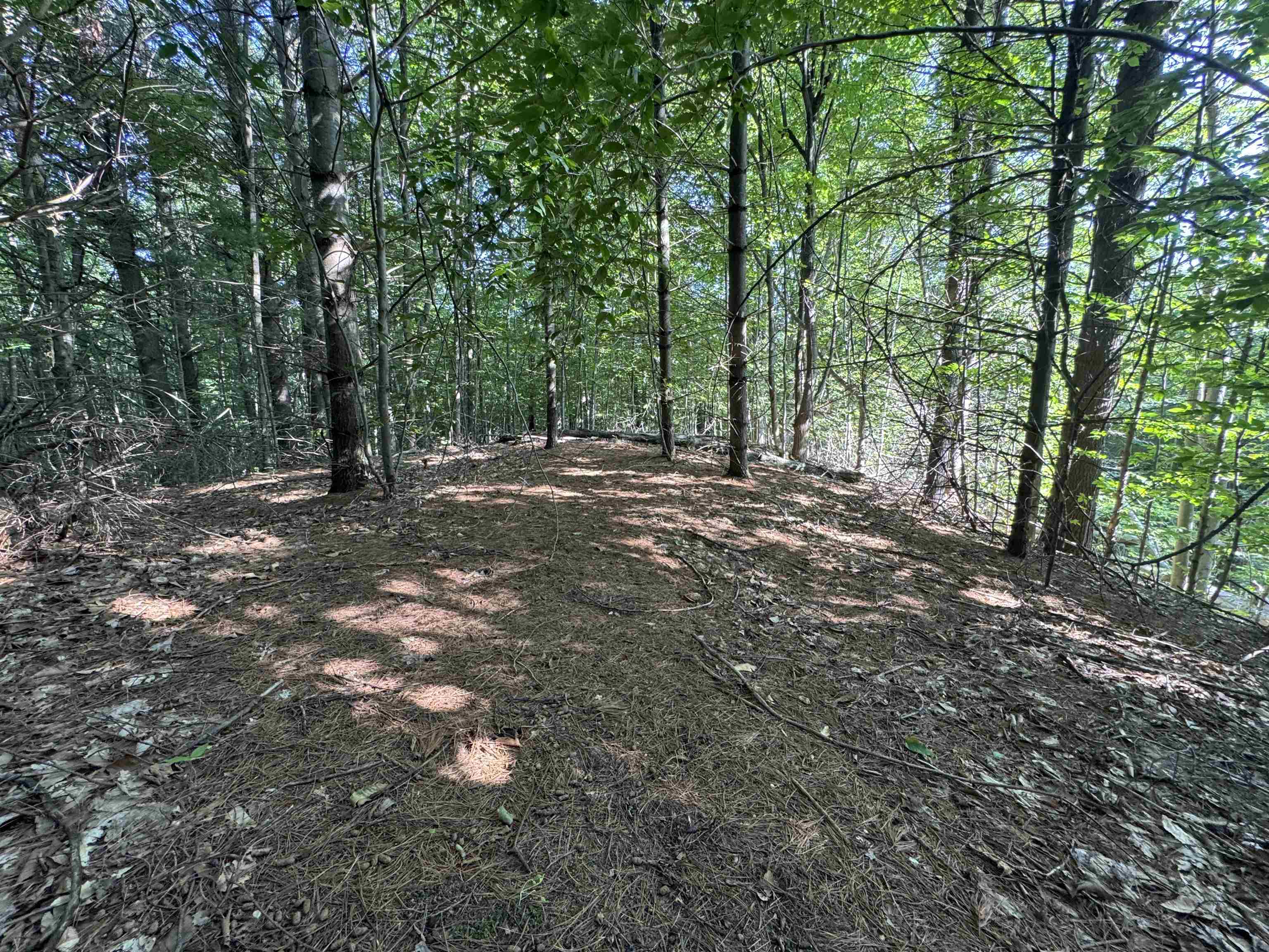 Lot #6 East Bellinger Road, Unit 6 BELLINGER ESTATES (FIN) Cedar, MI 49621 - Photo 17 of 34