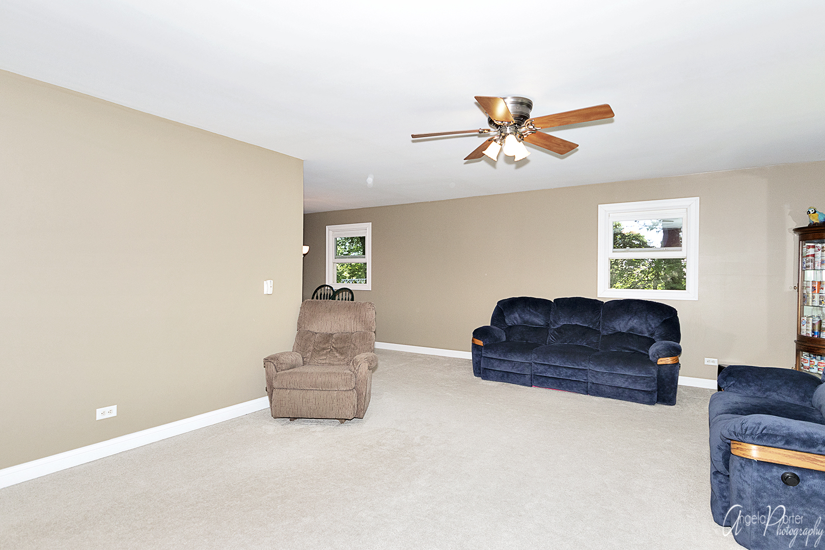 135 Eagle Point Road Fox Lake, IL 60020 - Photo 3 of 27 a living room with furniture and a ceiling fan