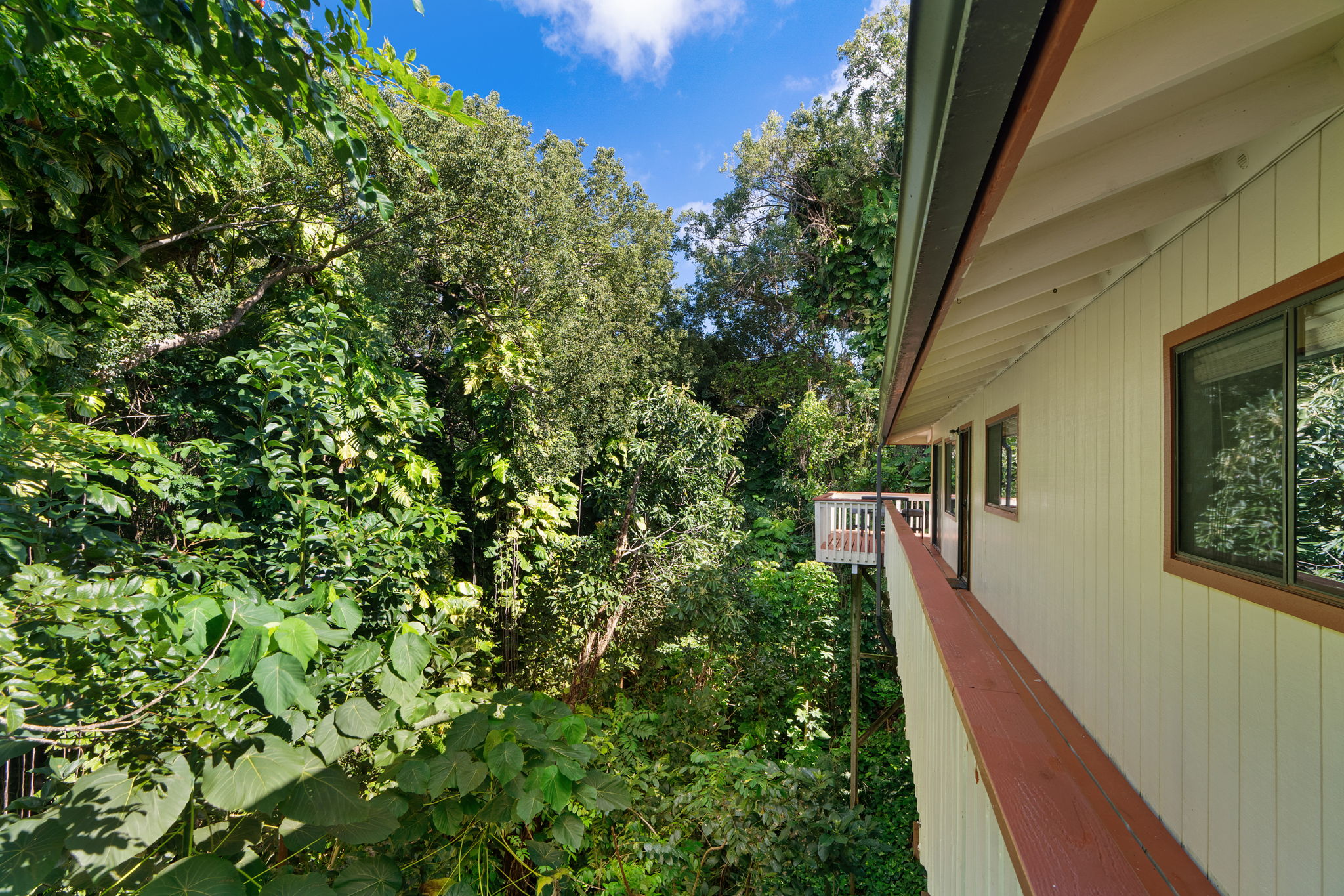 1786 Awaa Place Kapaa, HI 96746 - Photo 21 of 24