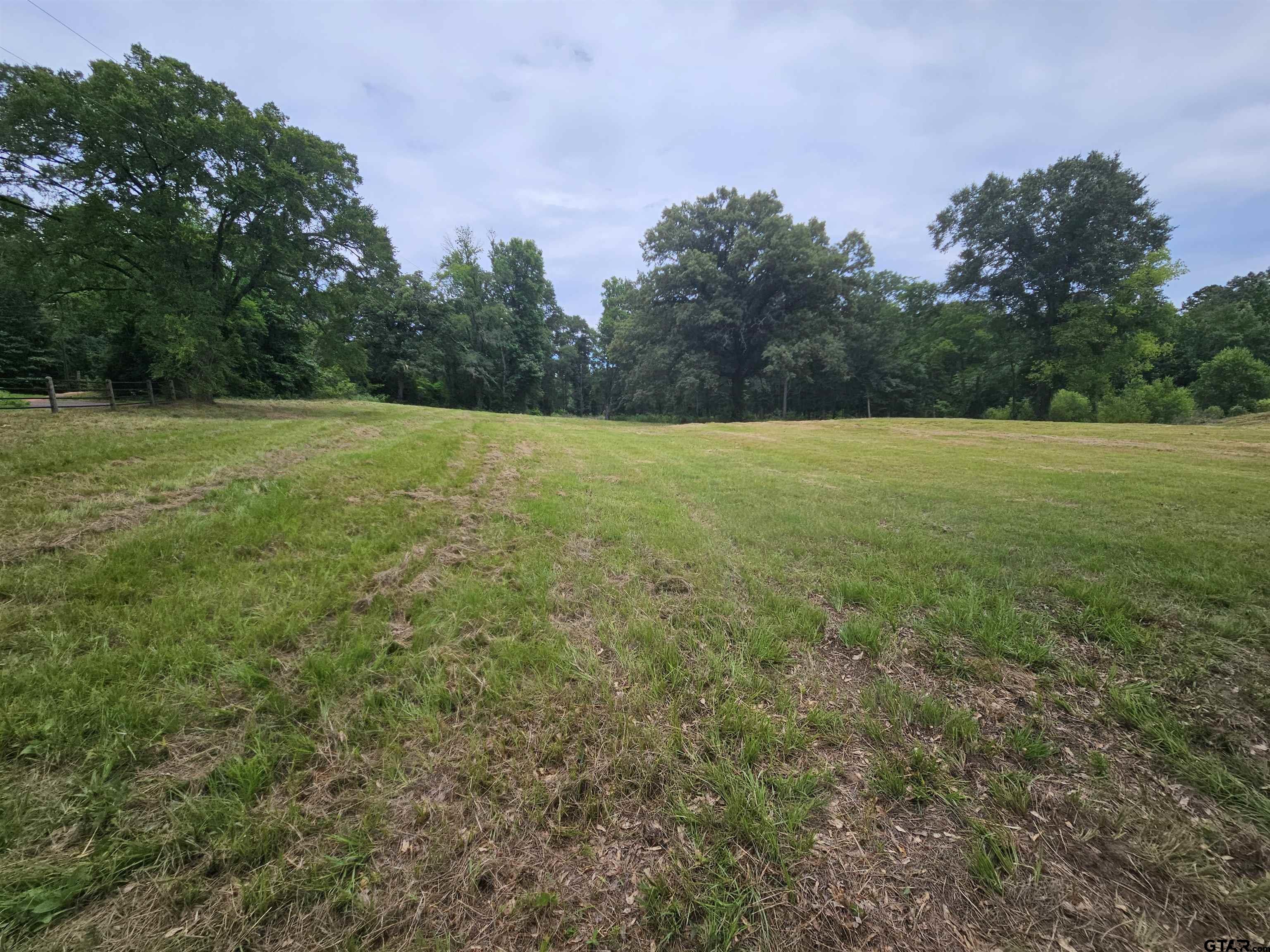 4644 Giraffe Road Gilmer, TX 75644 - Photo 20 of 20