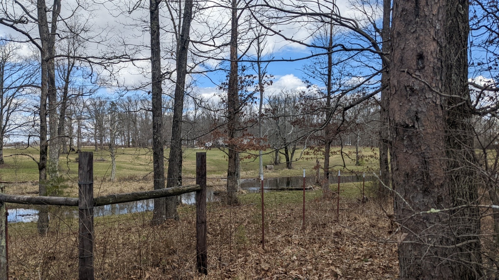 0 North Scenic Road Monteagle, TN 37356 - Photo 2 of 10 Gallery Image 2
