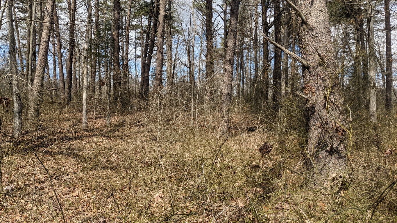 0 North Scenic Road Monteagle, TN 37356 - Photo 6 of 10 Gallery Image 6