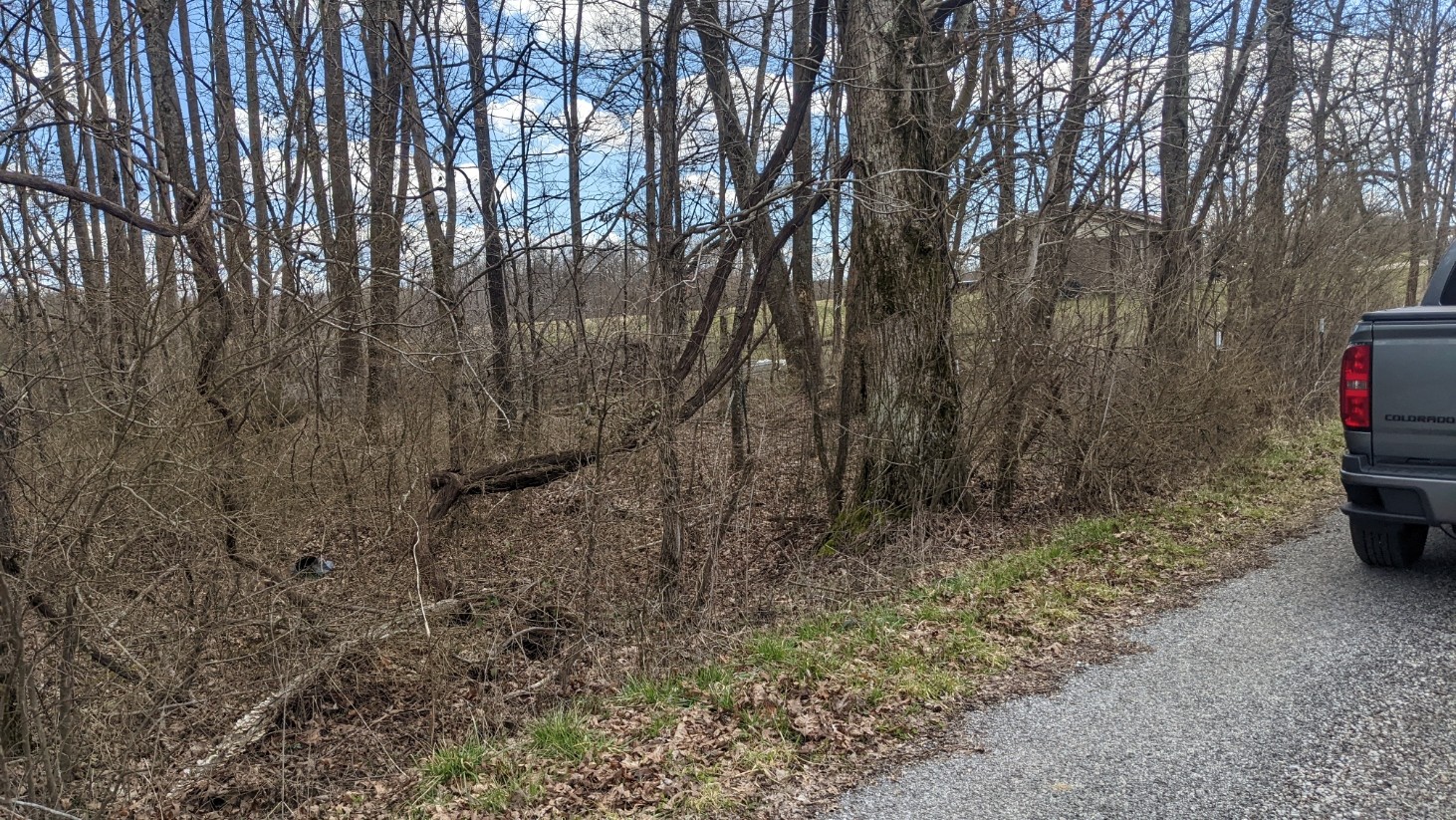 0 North Scenic Road Monteagle, TN 37356 - Photo 9 of 10 Gallery Image 9
