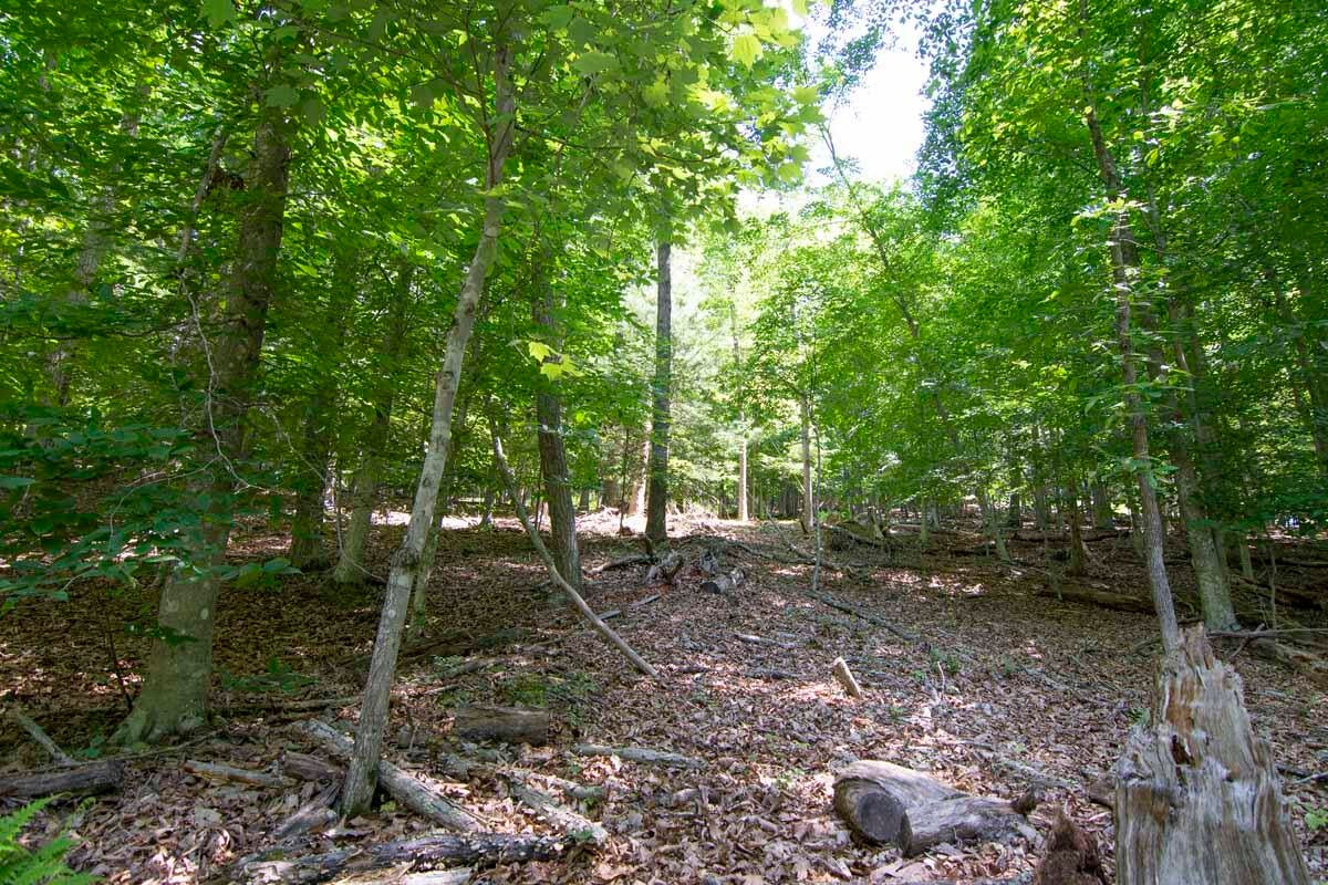 751-771 Lipps Road Lewisburg, WV 24901 - Photo 14 of 43 Gallery Image 14