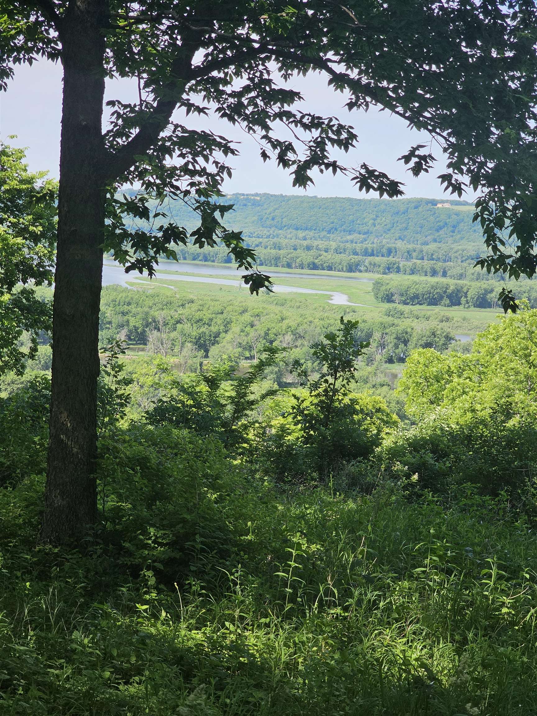 13061 Walnut Blf Road Bagley, WI 53801 - Photo 6 of 18