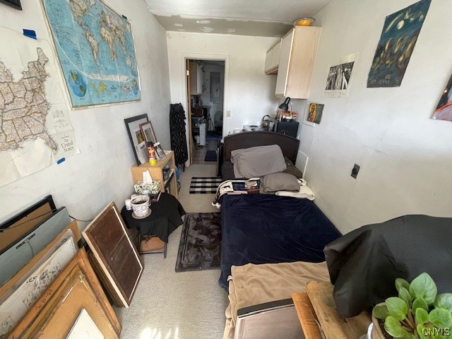 371 Applegate Road North Enfield, NY 14850 - Photo 6 of 14