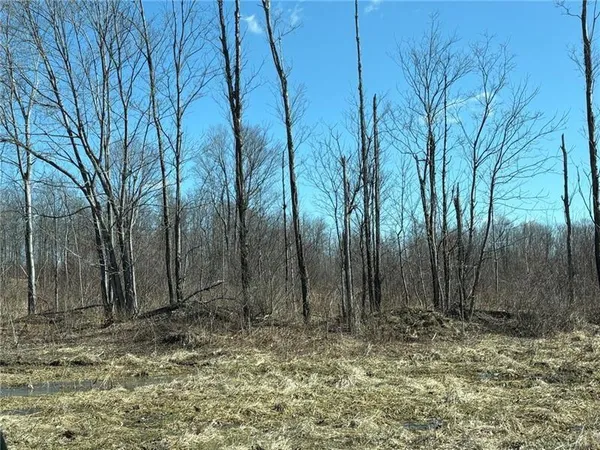 $225,000 | Lot Auction Auction Lane, Seward, PA 15954