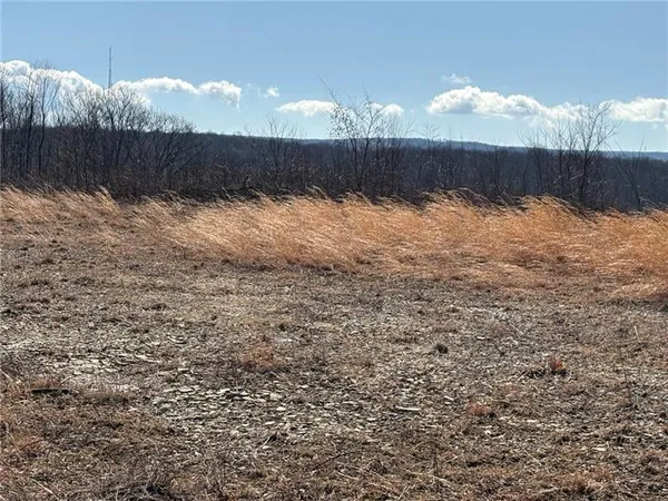 $225,000 | Lot Auction Auction Lane, Seward, PA 15954