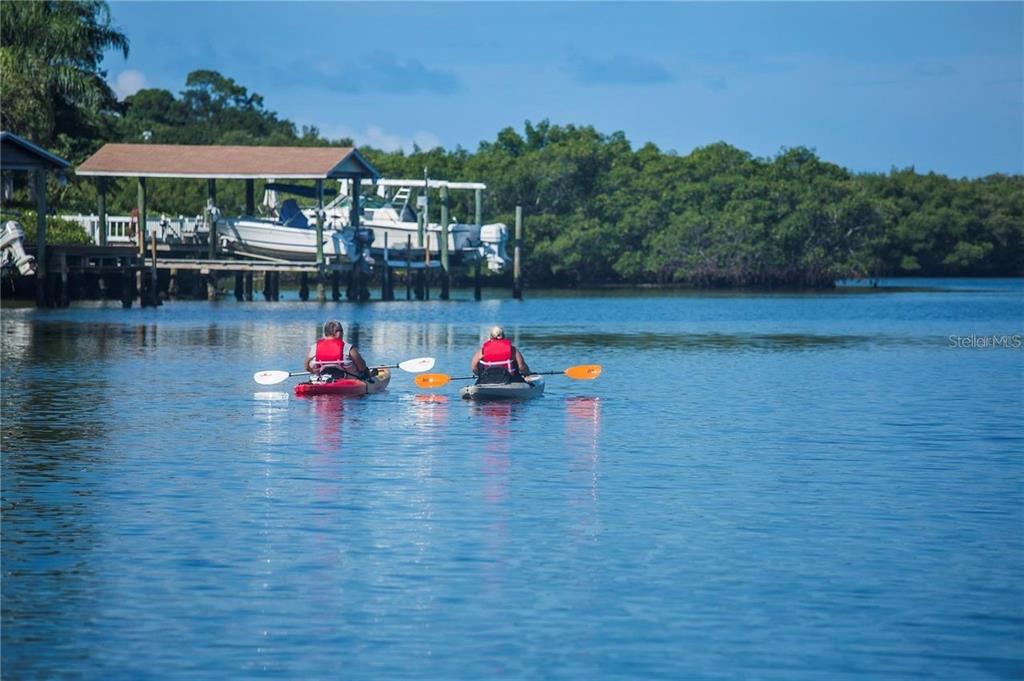 Soundview Drive Palm Harbor, FL 34683 - Photo 12 of 16 a view of a lake with a patio