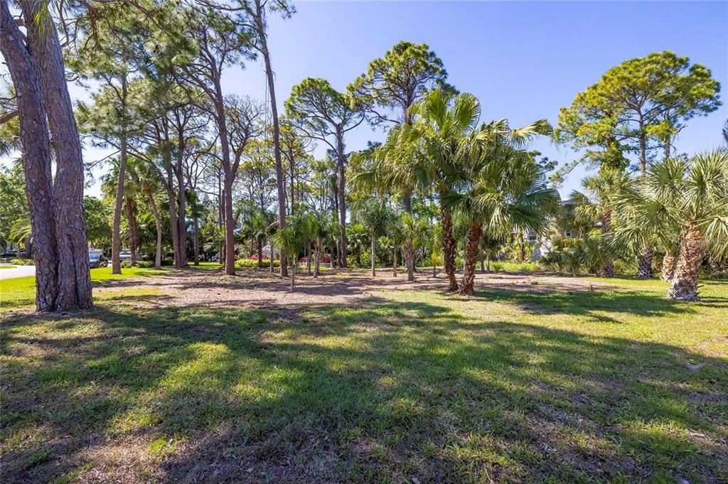 Soundview Drive Palm Harbor, FL 34683 - Photo 4 of 16