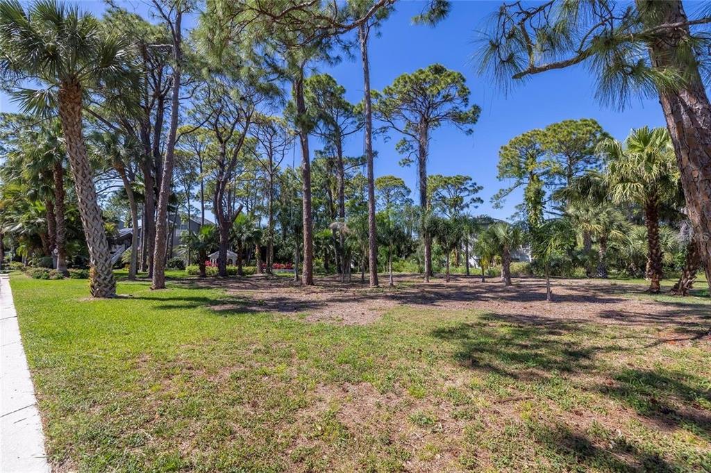 Soundview Drive Palm Harbor, FL 34683 - Photo 6 of 16 a backyard of a house with lots of green space and fountain