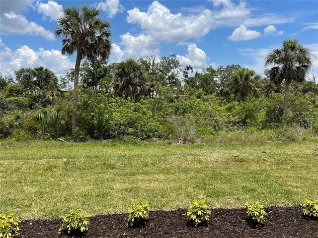 a view of a field with plants and trees
