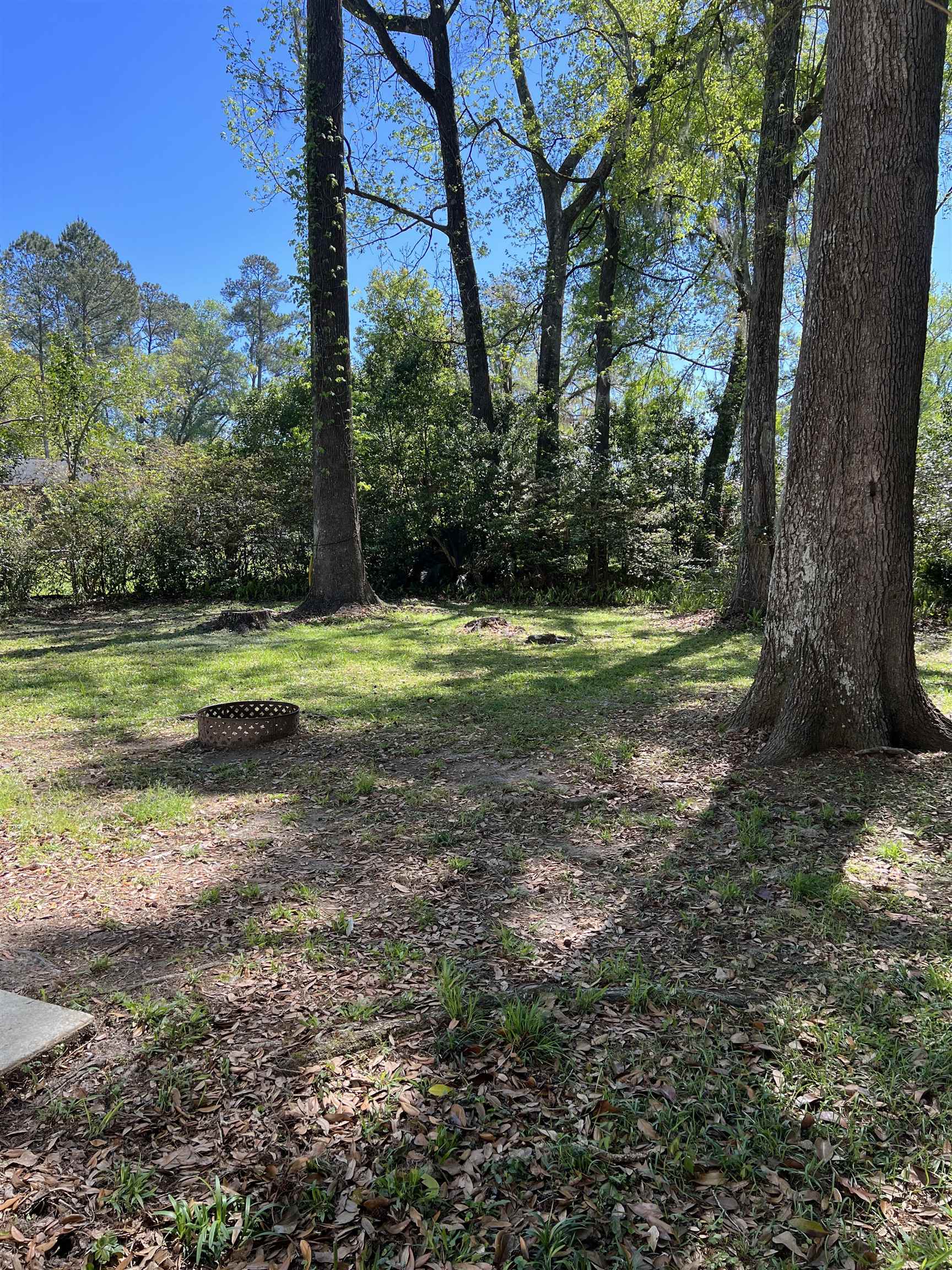 1895 Myrick Road Tallahassee, FL 32303 - Photo 3 of 33