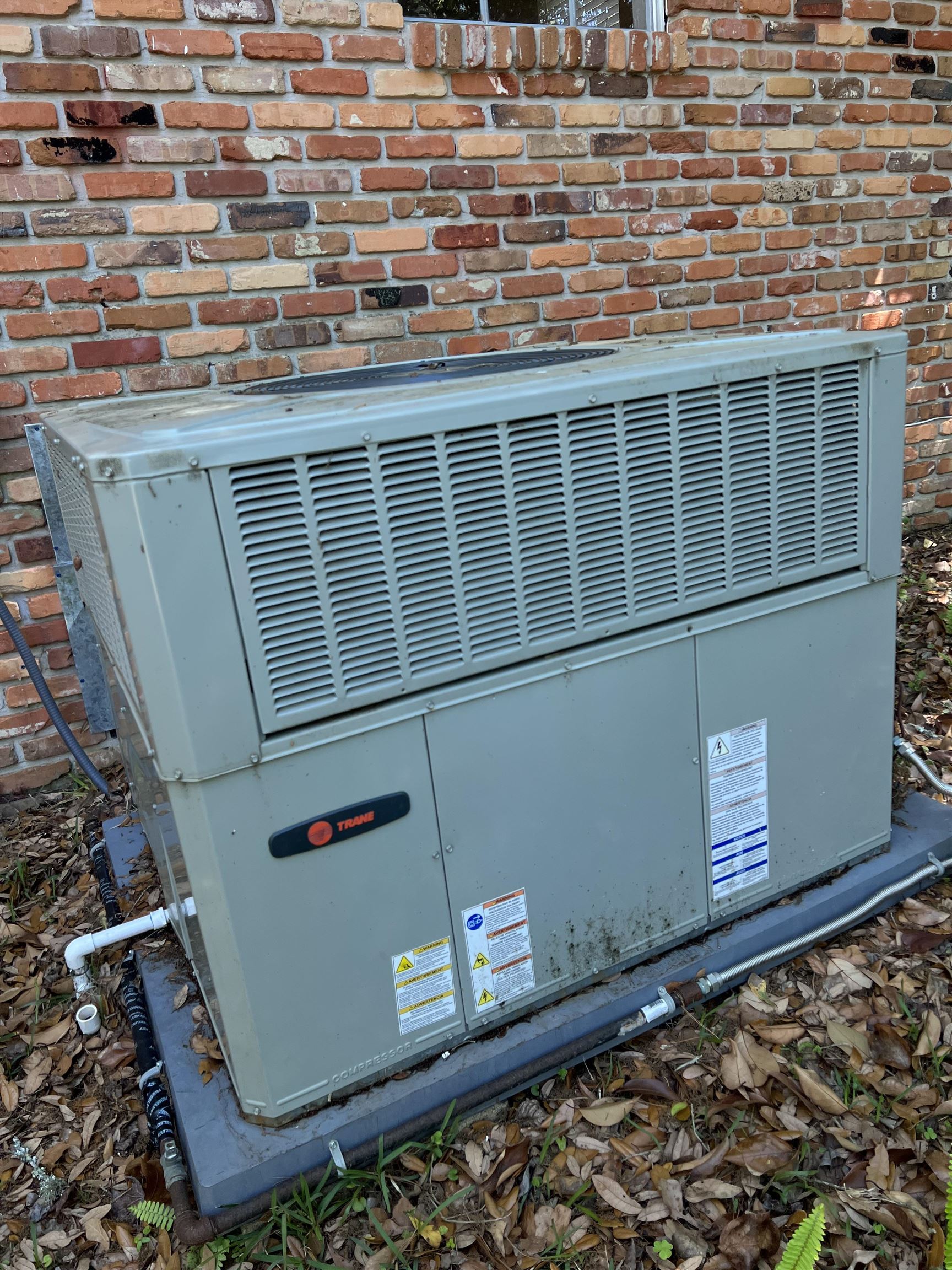 1895 Myrick Road Tallahassee, FL 32303 - Photo 5 of 33