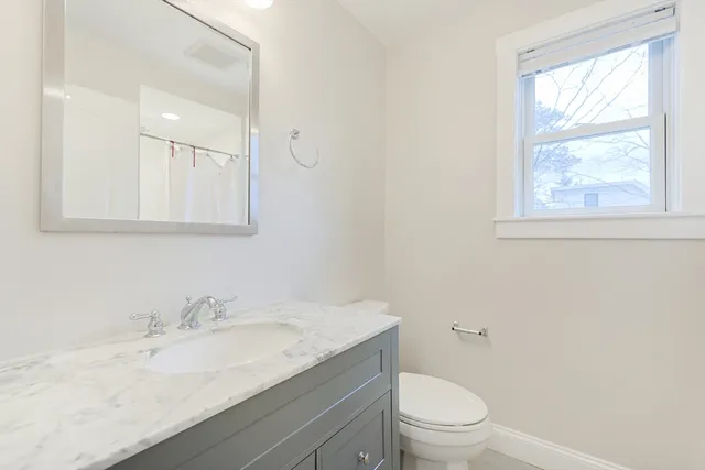a bathroom with a sink a toilet a mirror and vanity