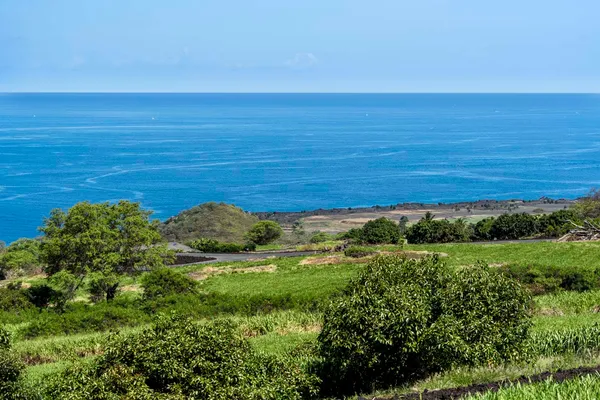 a view of yard with ocean view