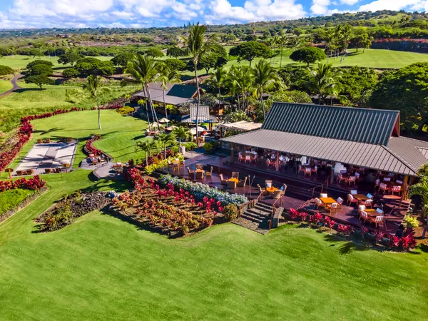 a area with lots of green and trees