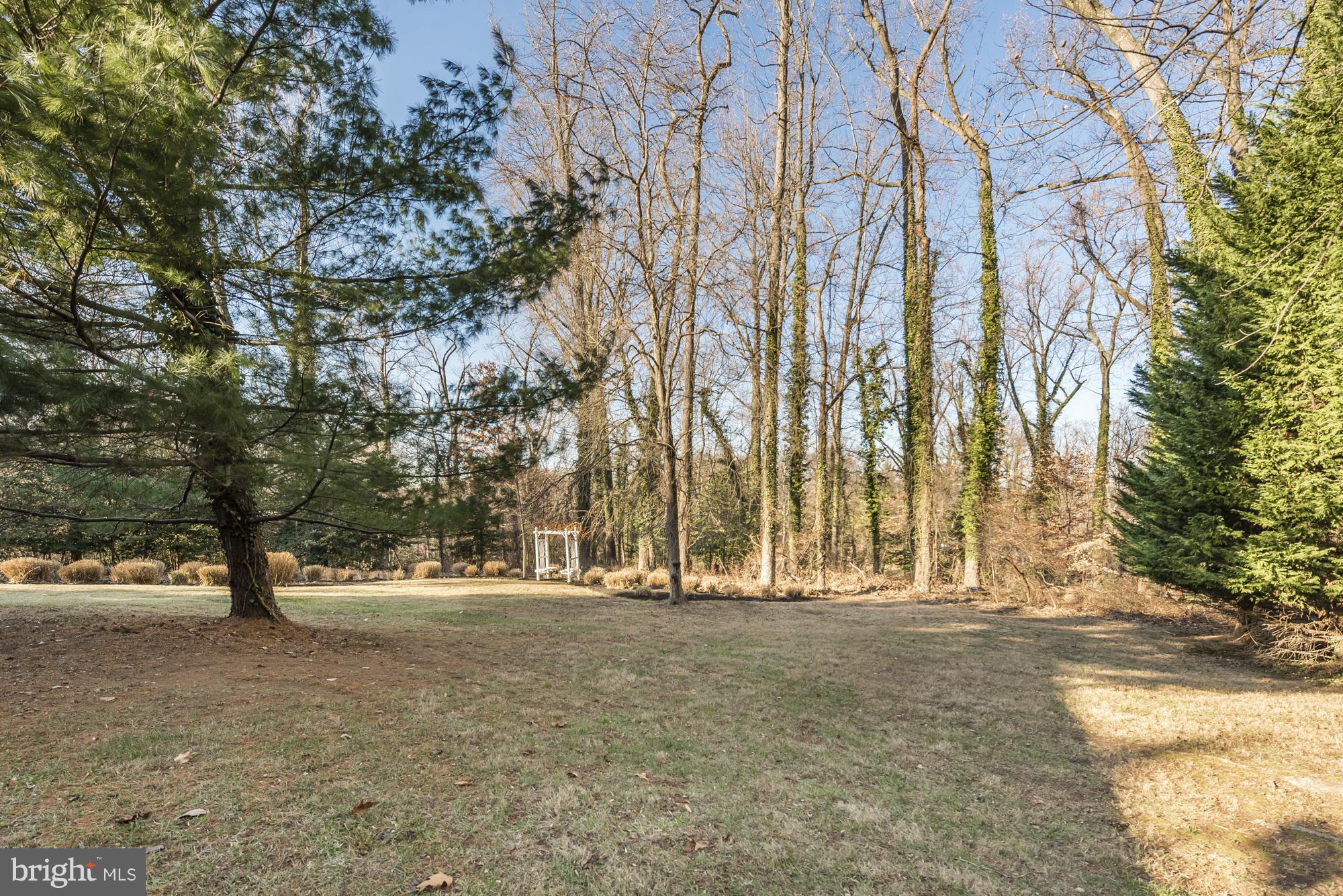 1619 Winchester Road Arnold, MD 21012 - Photo 22 of 24 Back Yard