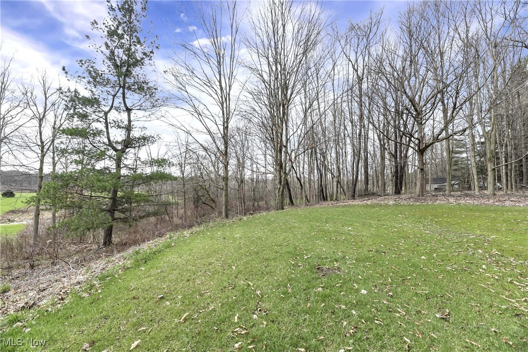 23979 West Rim Drive Columbia Station, OH 44028 - Photo 41 of 49