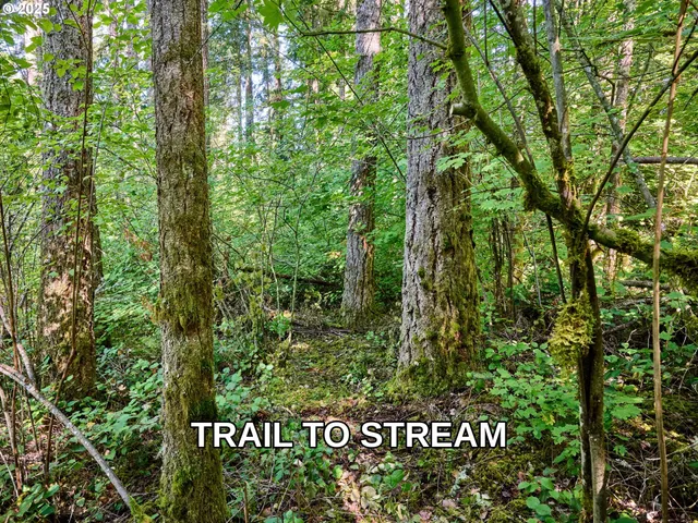 $425,000 | 32553 South Dhooghe Road, Molalla, OR 97038