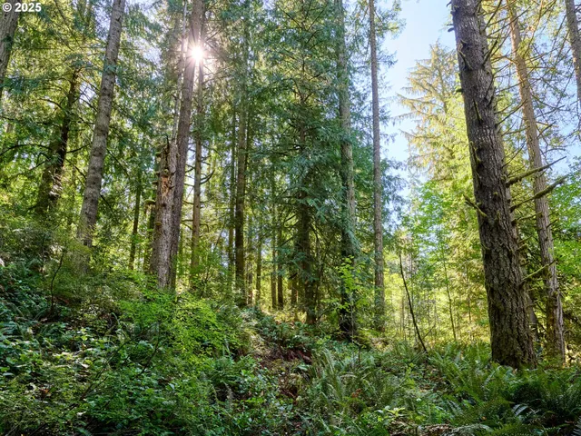 $425,000 | 32553 South Dhooghe Road, Molalla, OR 97038