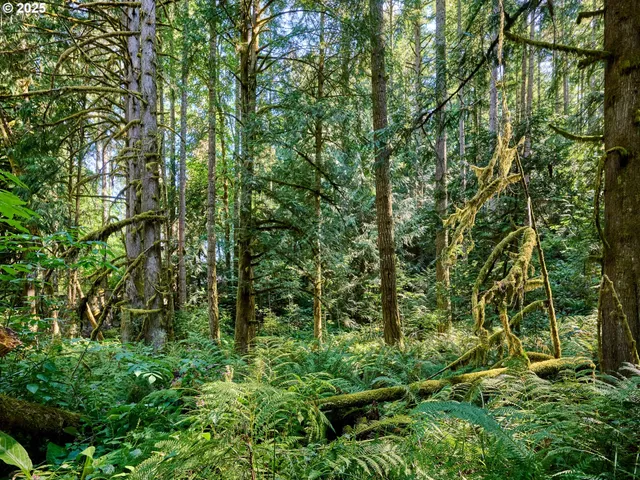 $425,000 | 32553 South Dhooghe Road, Molalla, OR 97038