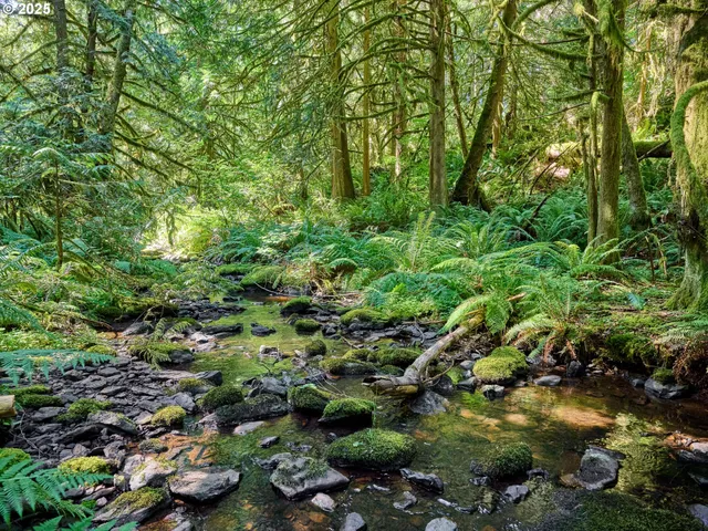 $425,000 | 32553 South Dhooghe Road, Molalla, OR 97038