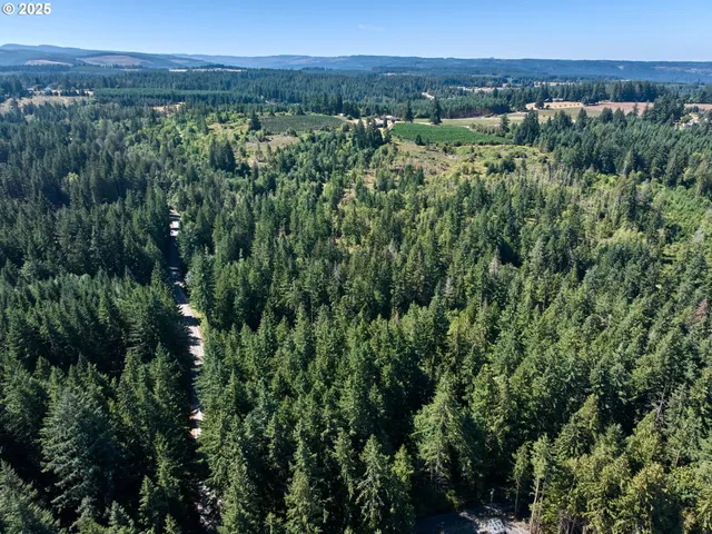 $425,000 | 32553 South Dhooghe Road, Molalla, OR 97038