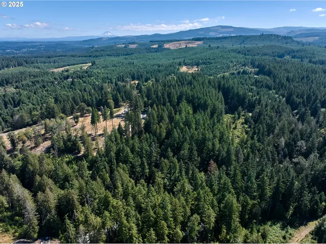 $425,000 | 32553 South Dhooghe Road, Molalla, OR 97038