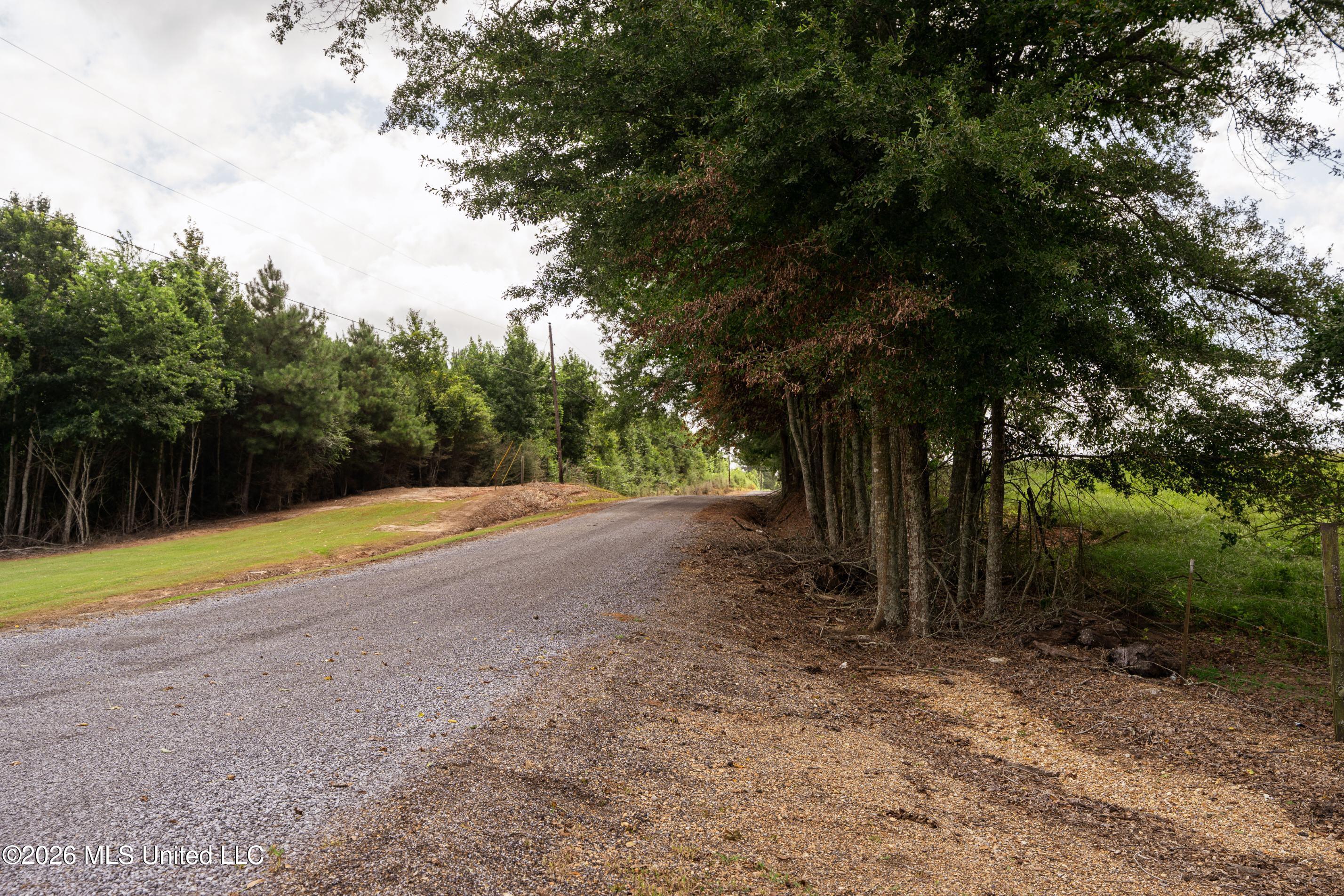 226 Van Holmes Road Tylertown, MS 39667 - Photo 21 of 27 DSC00632