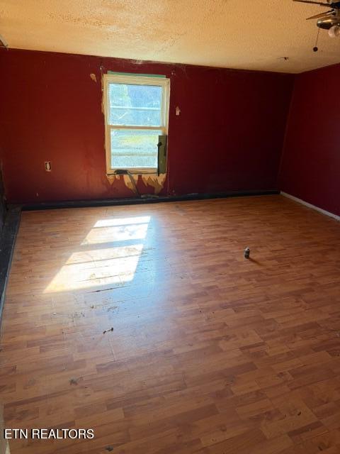 16320 Steekee Road Loudon, TN 37774 - Photo 14 of 17 IMG_0319