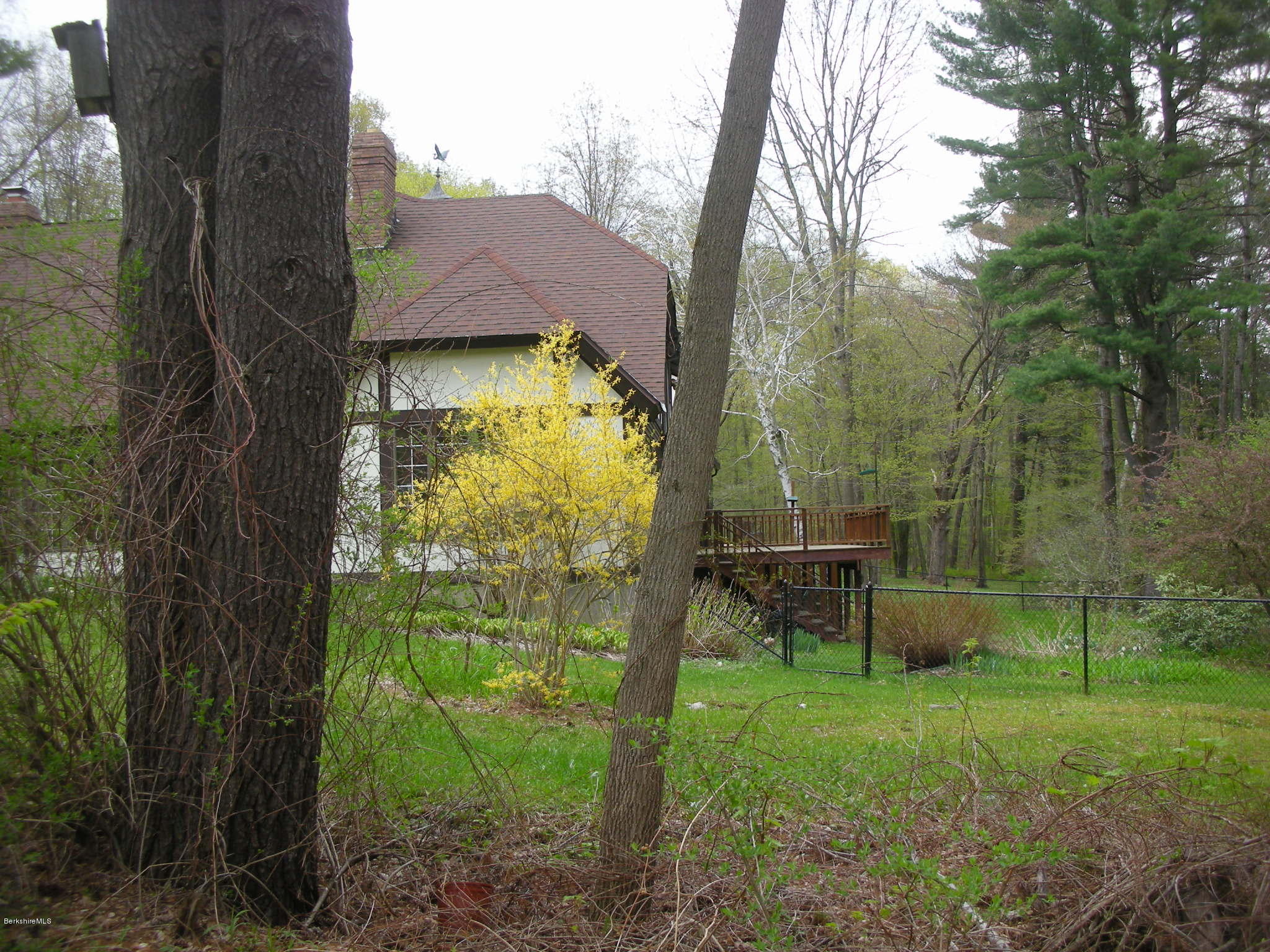 96 Scacebrook Road Richmond, MA 01201 - Photo 3 of 25 a view of a yard