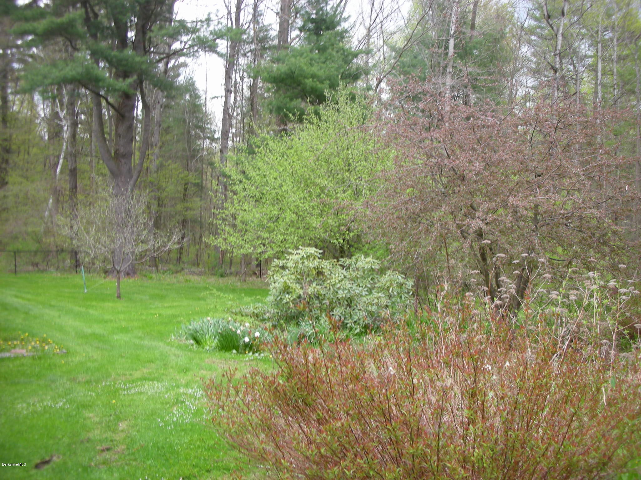 96 Scacebrook Road Richmond, MA 01201 - Photo 5 of 25 a view of a lush green forest