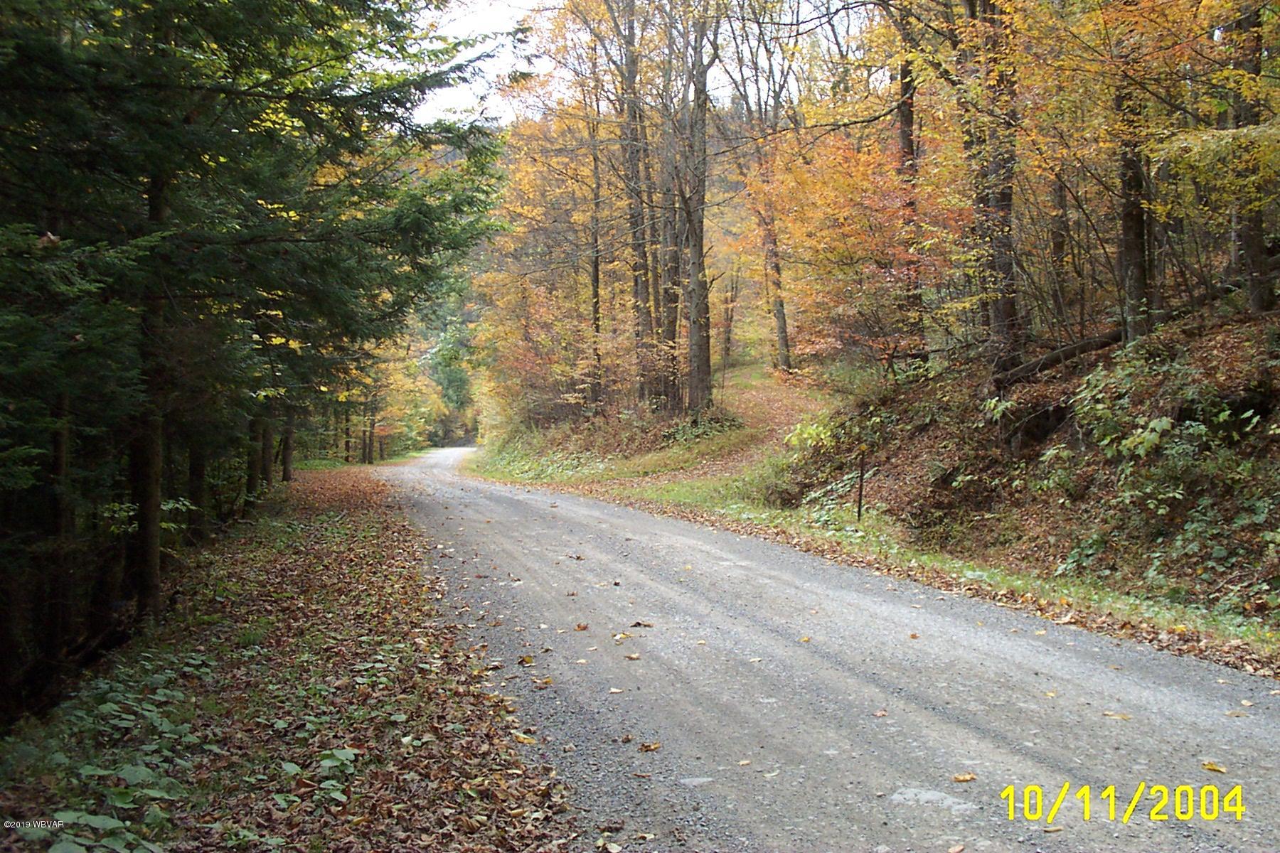 401 Norton Road Forksville, PA 18616 - Photo 13 of 53 DCP_0842