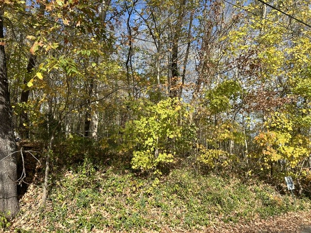 0 Palmyra Road Palmyra, TN 37142 - Photo 11 of 13 a view of a yard