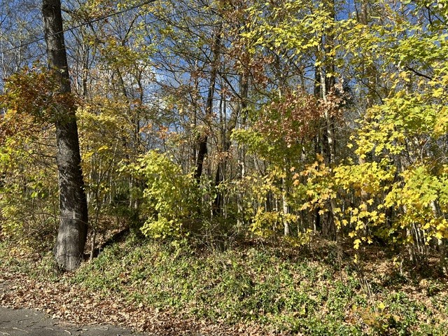 0 Palmyra Road Palmyra, TN 37142 - Photo 12 of 13 a view of a yard with a tree