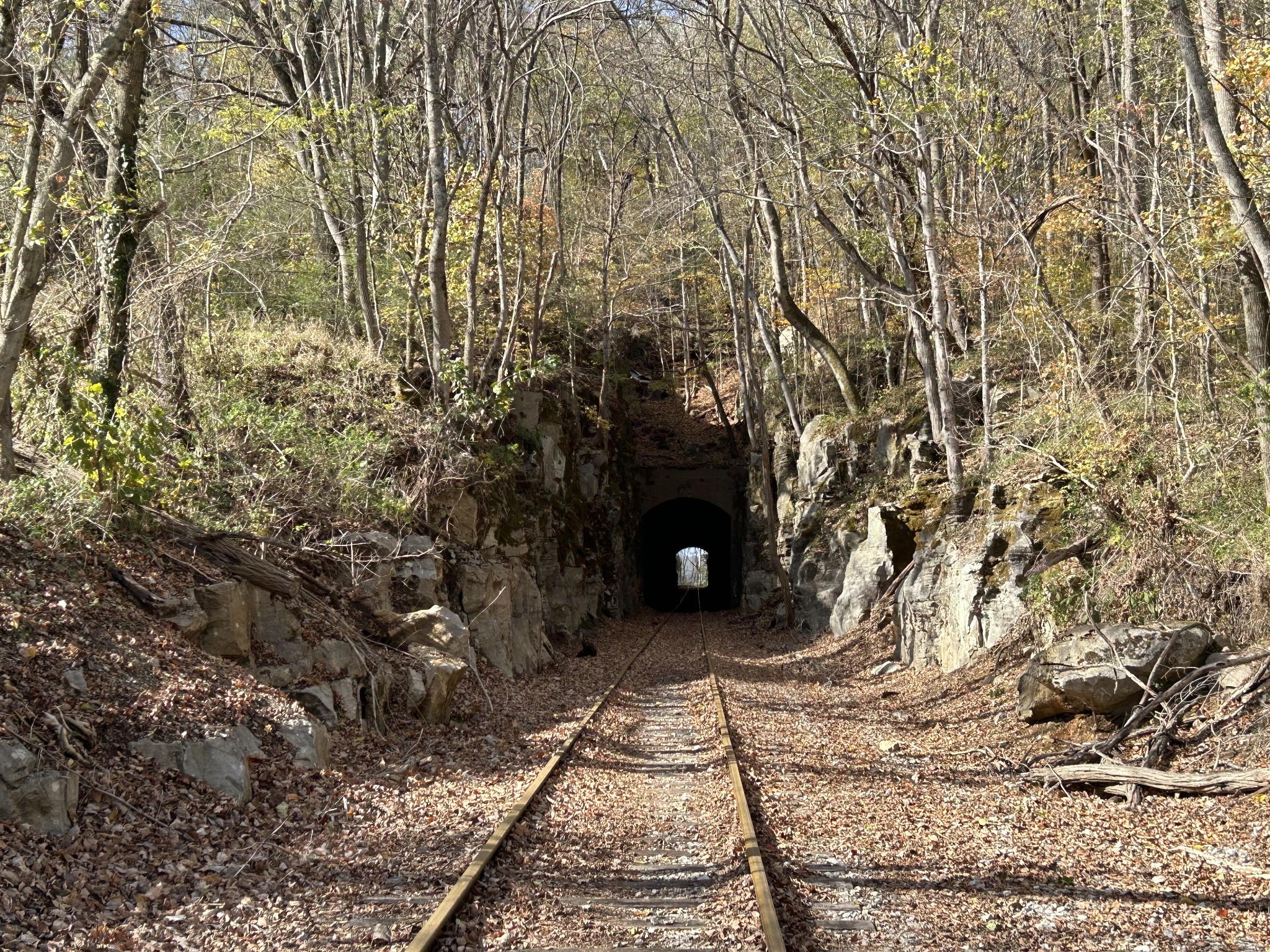0 Palmyra Road Palmyra, TN 37142 - Photo 13 of 13 a view of an outdoor space and a yard