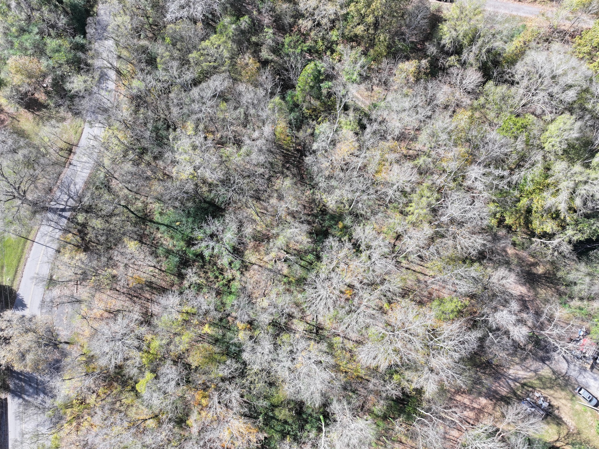 0 Palmyra Road Palmyra, TN 37142 - Photo 9 of 13 a view of a dry yard with green space