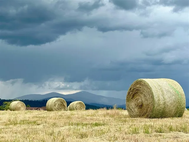 $399,000 | 11300 North Bruce Road, Spokane, WA 99217