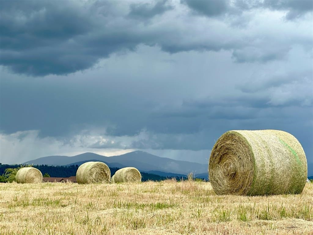11300 North Bruce Road Spokane, WA 99217 - Photo 12 of 31