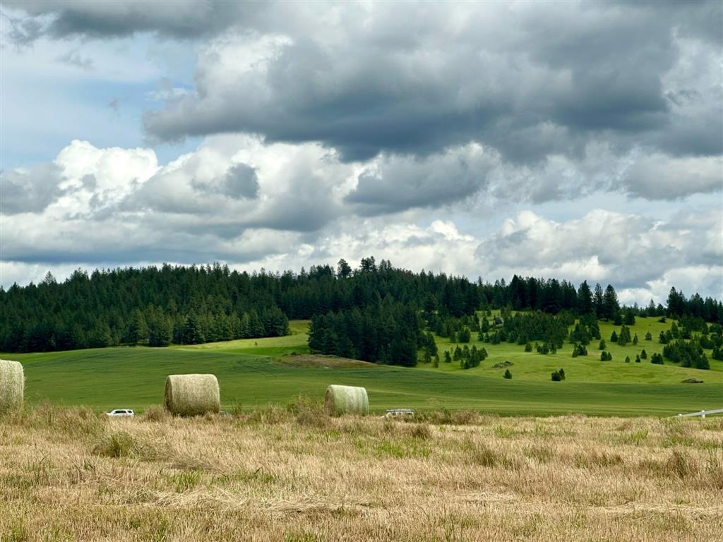 11300 North Bruce Road Spokane, WA 99217 - Photo 14 of 31