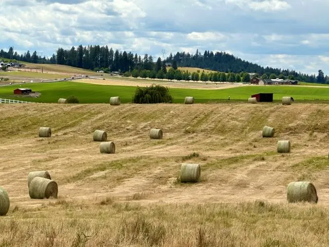 $399,000 | 11300 North Bruce Road, Spokane, WA 99217