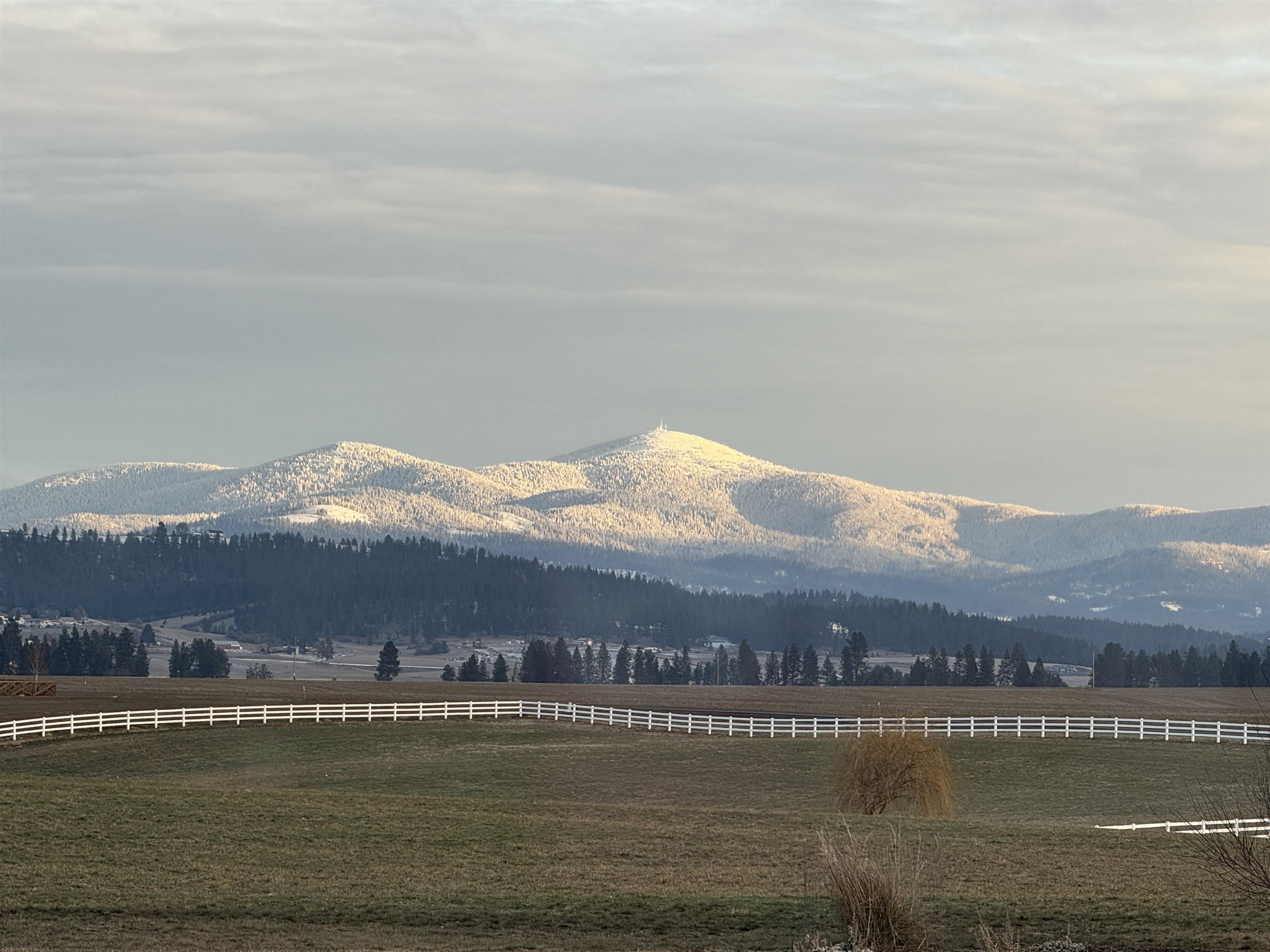 11300 North Bruce Road Spokane, WA 99217 - Photo 21 of 31