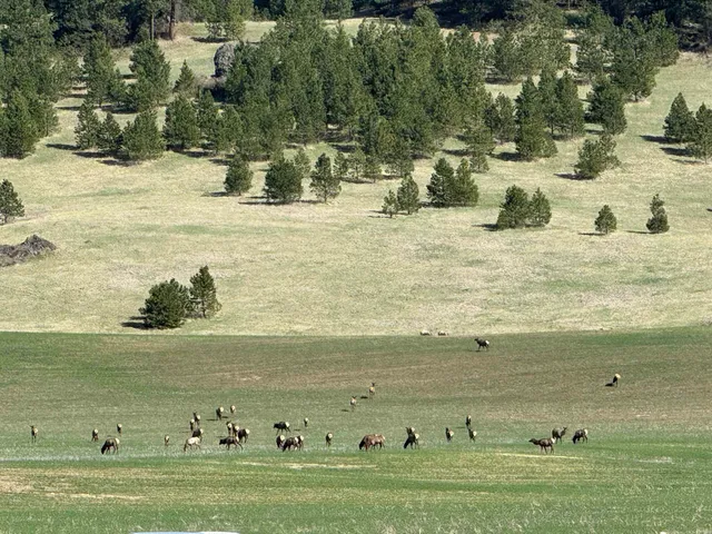 $399,000 | 11300 North Bruce Road, Spokane, WA 99217