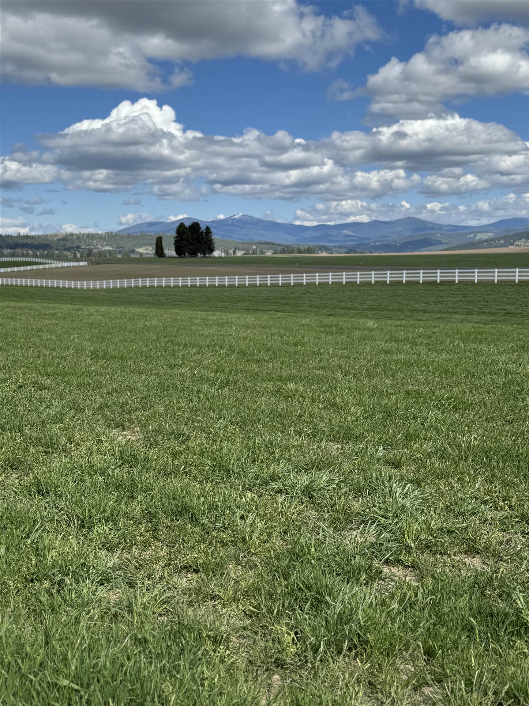 11300 North Bruce Road Spokane, WA 99217 - Photo 23 of 31